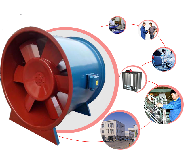 3c香蕉视频官网下载